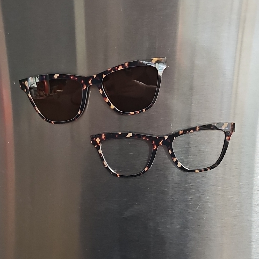 Tortoise Shell Sunglasses Set - image 1